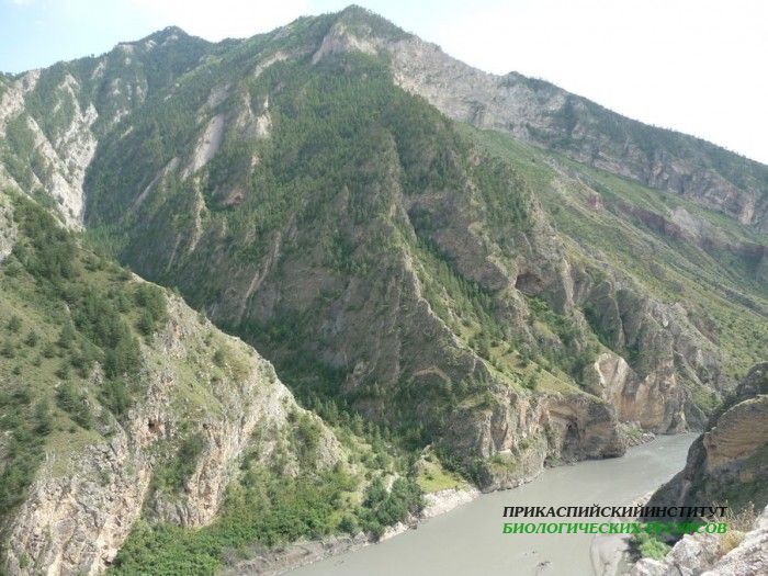 56.панорама.гоцатль.11-13.08.11