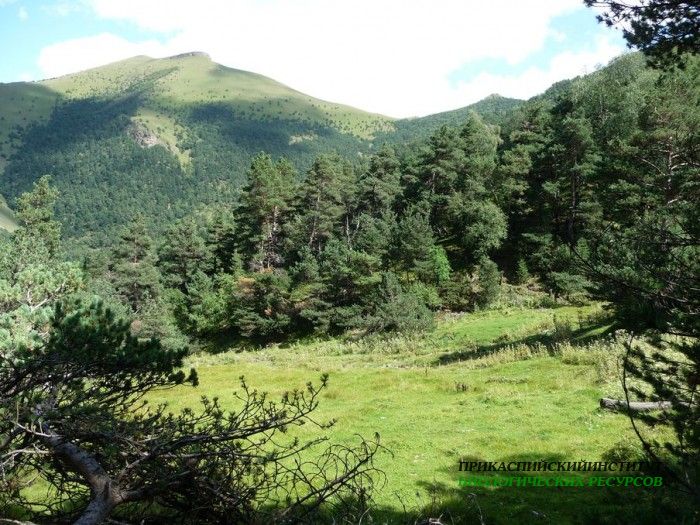 41.панорама.карануб.23.08.2011