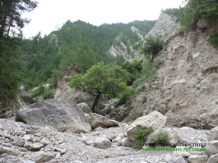 39.панорама.тлохск.ущелье.06.07.2011