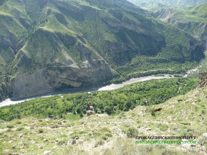 1.авар.койсу.гоцатль28.07.10