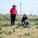 Исследование в степи