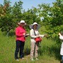 Лаборатория экологической биофизики