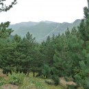 21.пейзаж.тлярош.15.08.10