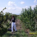 Экспедиция лаборатории