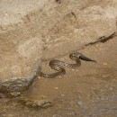 2.ужестсазана.турали.05.10.11