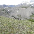 Участники экспедиции 2013