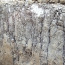 Фото Гасановой З.У.