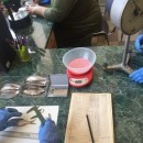 Работа с ихтиологическим материалом