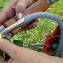 Флуориметр WALZ в работе