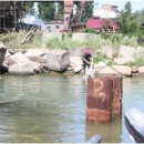 Сбор гидробиологического материала