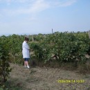 Экспедиция лаборатории