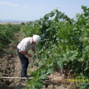 Экспедиция лаборатории