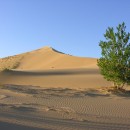 джамирзоевгаджибексефибекович1