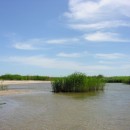 джамирзоевгаджибексефибекович3