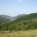 касумзаказник09007