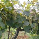 Экспедиция лаборатории