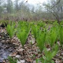 горы15-17апреля142