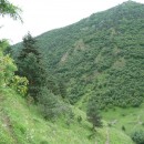 28.панорама.21.7.09тлярош