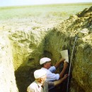 Описание почвенного разреза (Кочубейская биосферная станция)