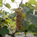 Экспедиция лаборатории