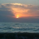 базановая353