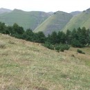 28.пейзаж.тлярош.15.08.10