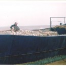 Лаборатория ихтиологии