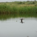 23.чомгасптенц.турали.25.06.10