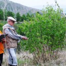 Сотрудники за работой