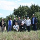 Сосновка 2009 май