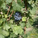 Экспедиция лаборатории