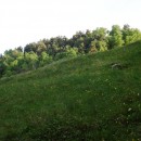 Верхний Гуниб, ГБС, опытный плац