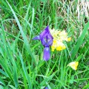 Опытные образцы