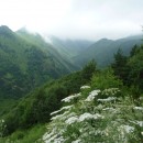 62.панорама.22.7.09тлярош