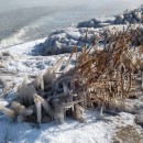 8.морезамезш.турали.27.01.2012