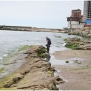 Гидробиологические съемки