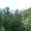 37.панорама.карануб.23.08.2011